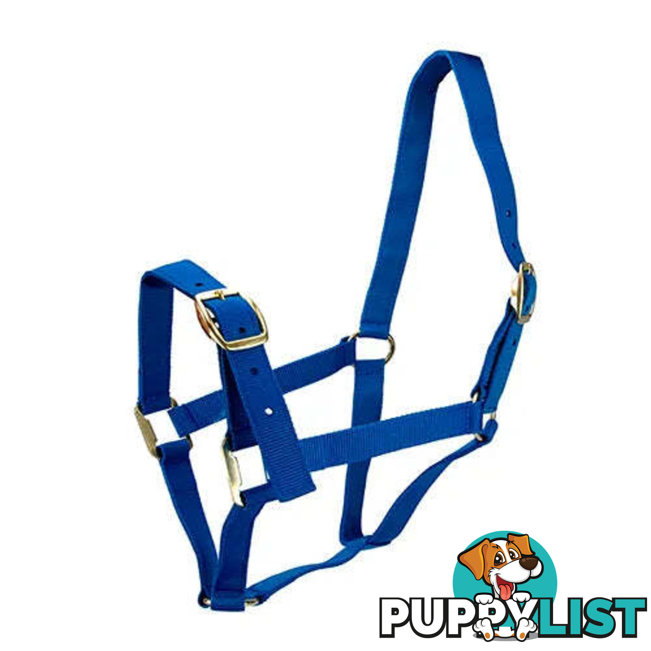 Click to Enlarge HORSE HALTERS - BAINBRIDGE - BB-A2201-BLU