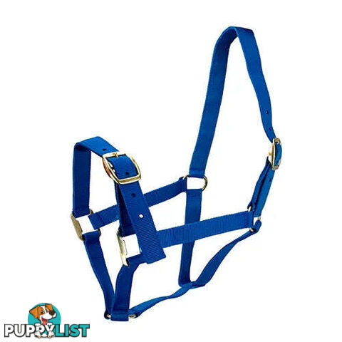 Click to Enlarge HORSE HALTERS - BAINBRIDGE - BB-A2201-BLU