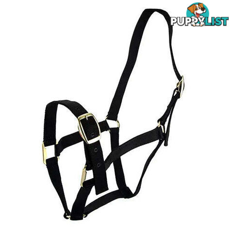 Click to Enlarge HORSE HALTERS - BAINBRIDGE - BB-A2201-BLU