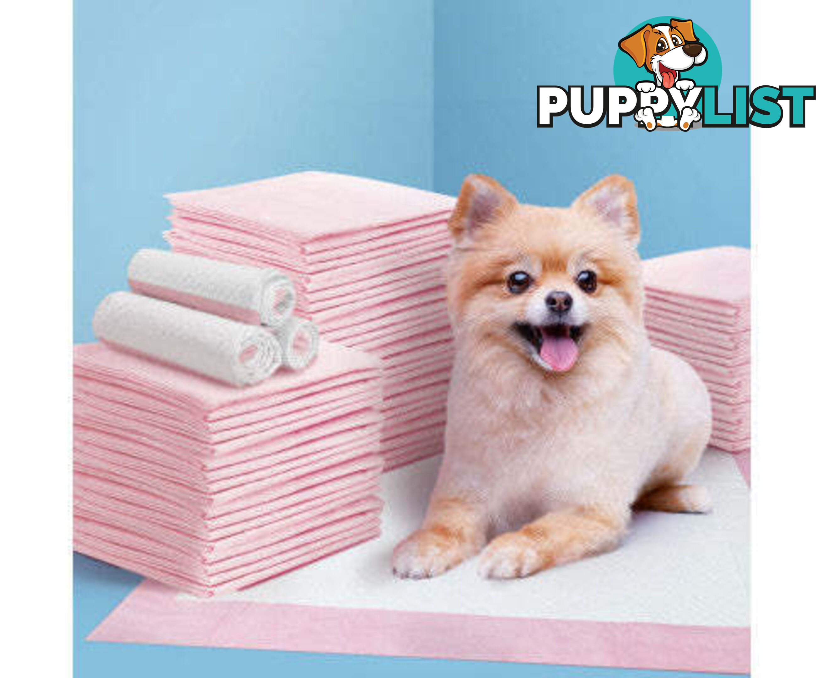 Puppy Dog Pet Training Pads Cat Toilet 60 x 60cm Super Absorbent Indoor Disposable - PET-PAD-BL-400