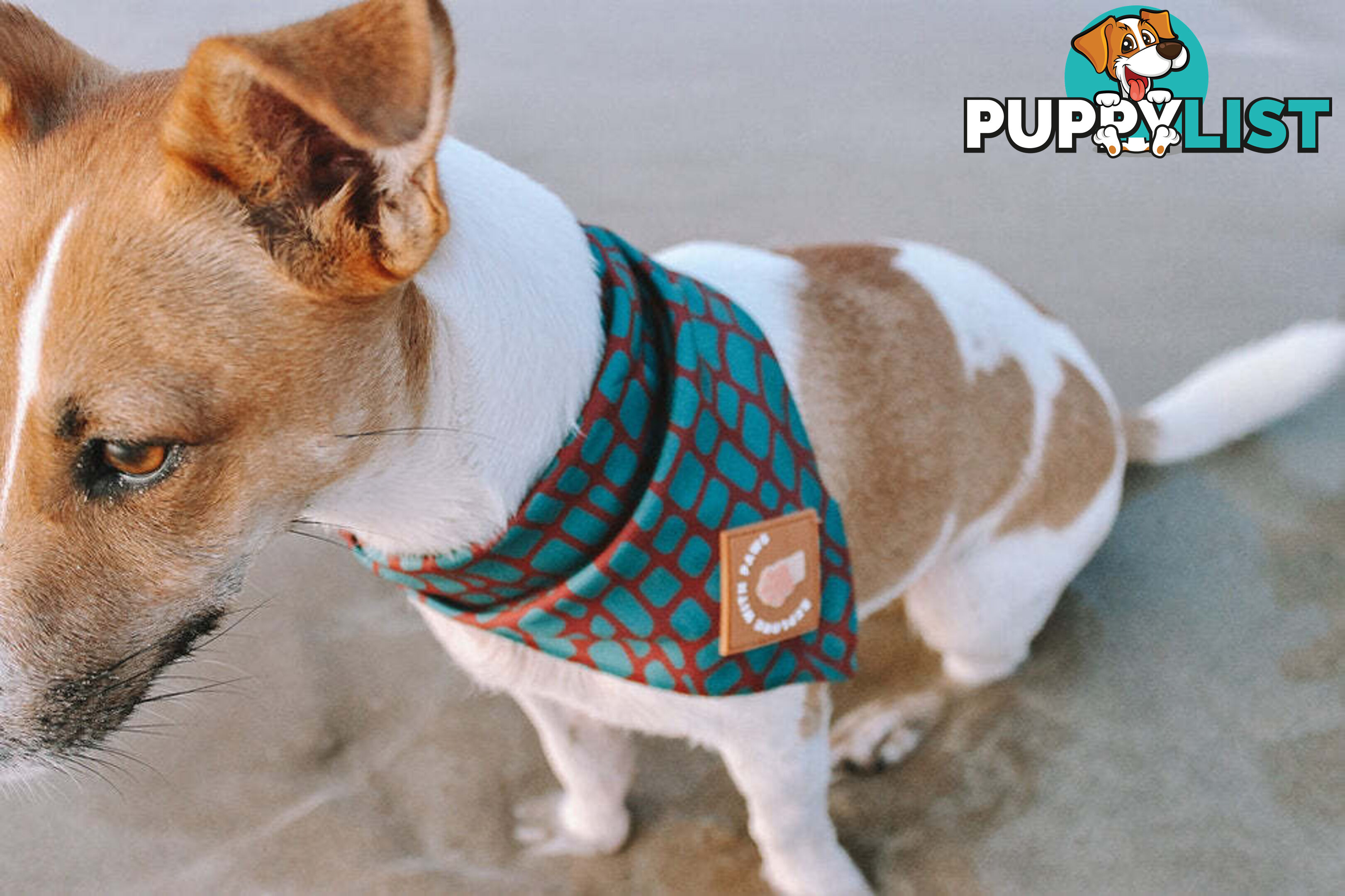 Designer Dog Bandana's by Explore with Paws - EWPBANLCRO
