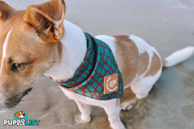 Designer Dog Bandana's by Explore with Paws - EWPBANLCRO
