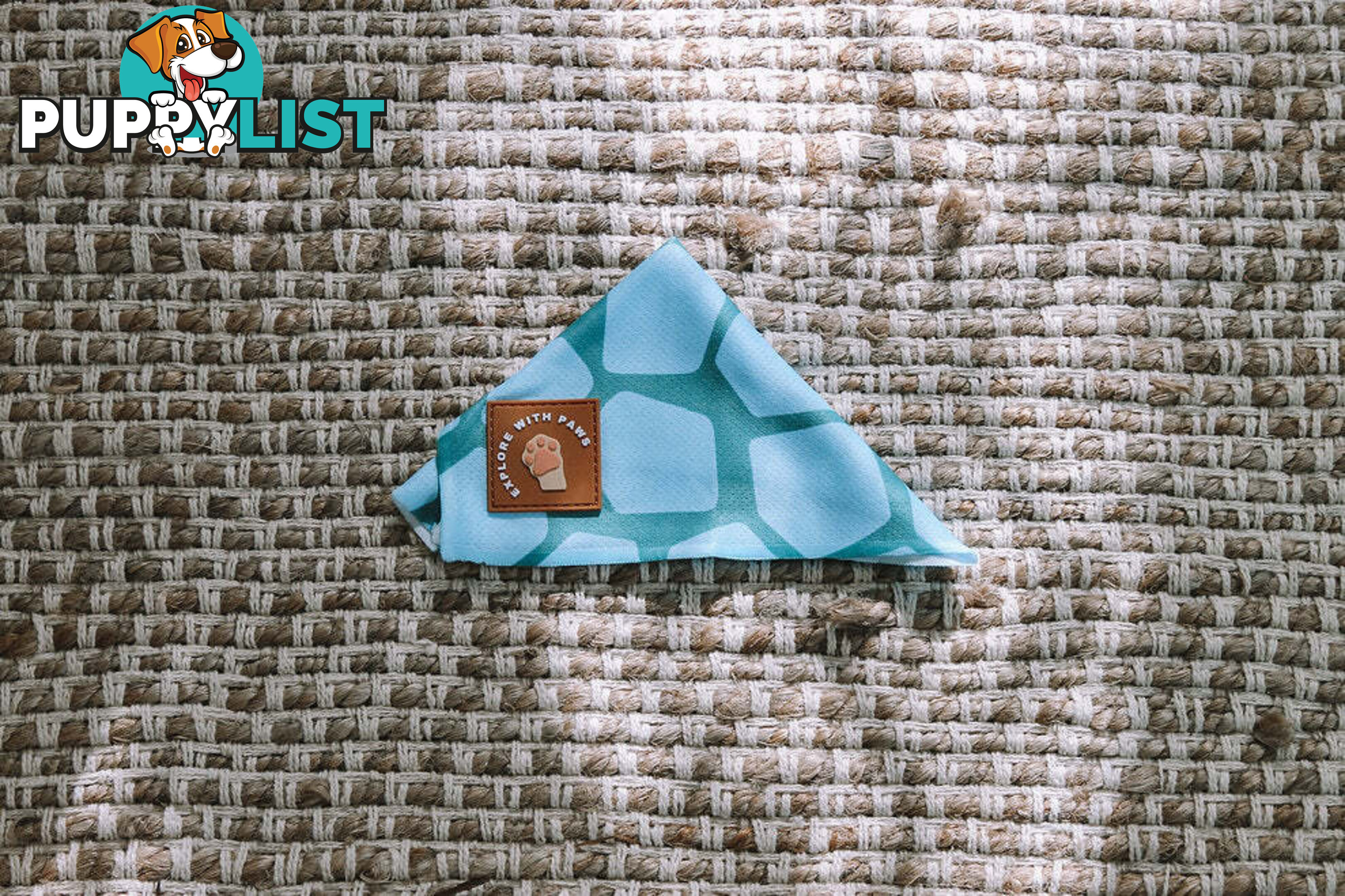 Designer Dog Bandana's by Explore with Paws - EWPBANLCRO