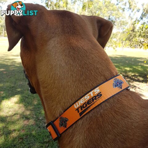 Dog Collars - NRL Footy Pets - FP-COL-L-DRA