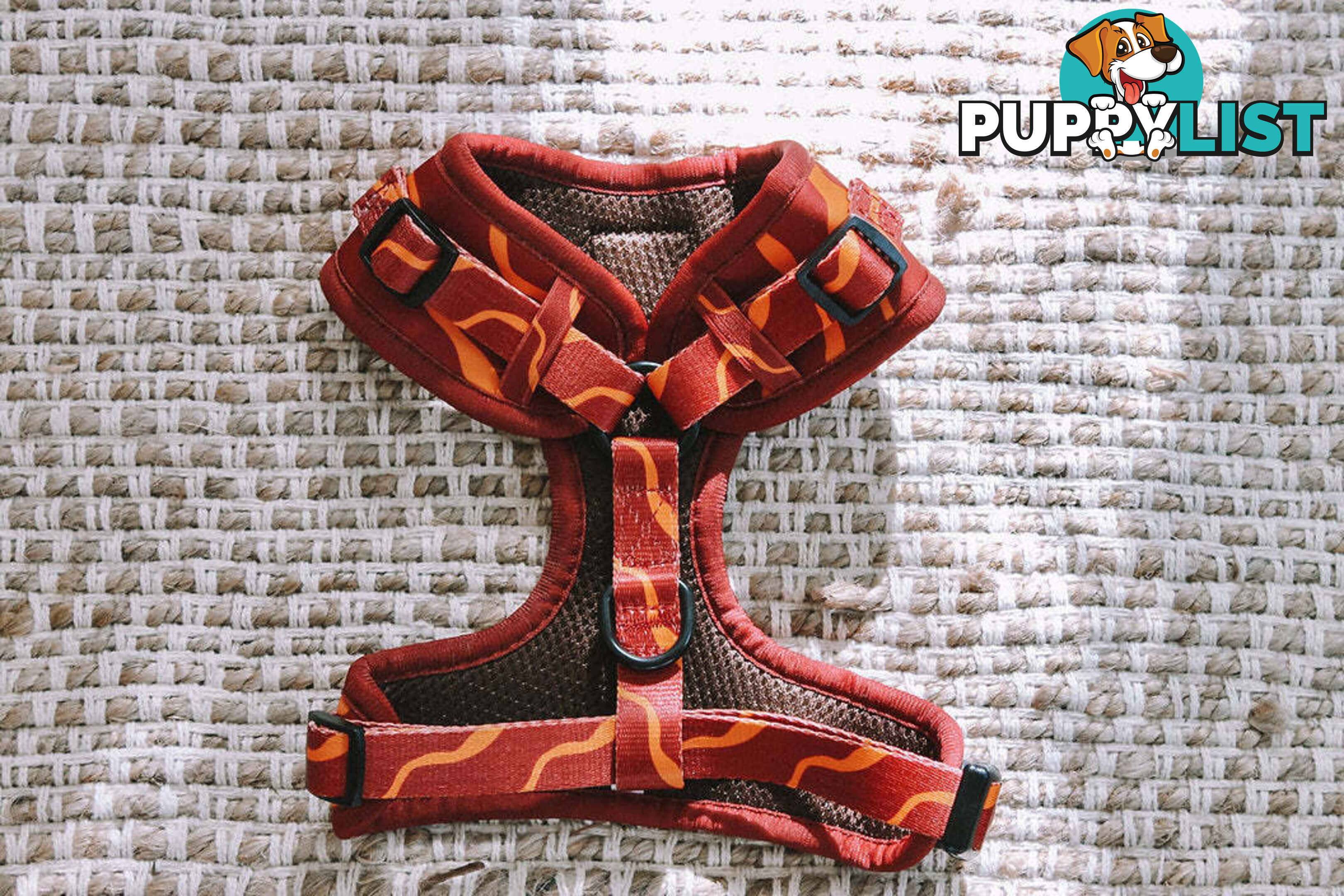 Designer Dog Harness by Explore with Paws - EWPHARCROLN