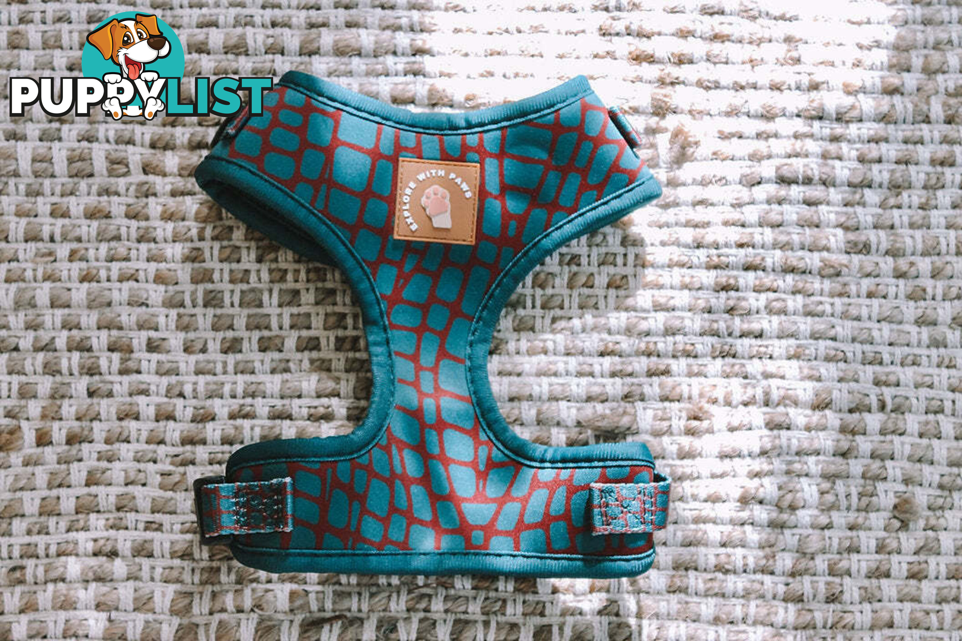 Designer Dog Harness by Explore with Paws - EWPHARCROLN