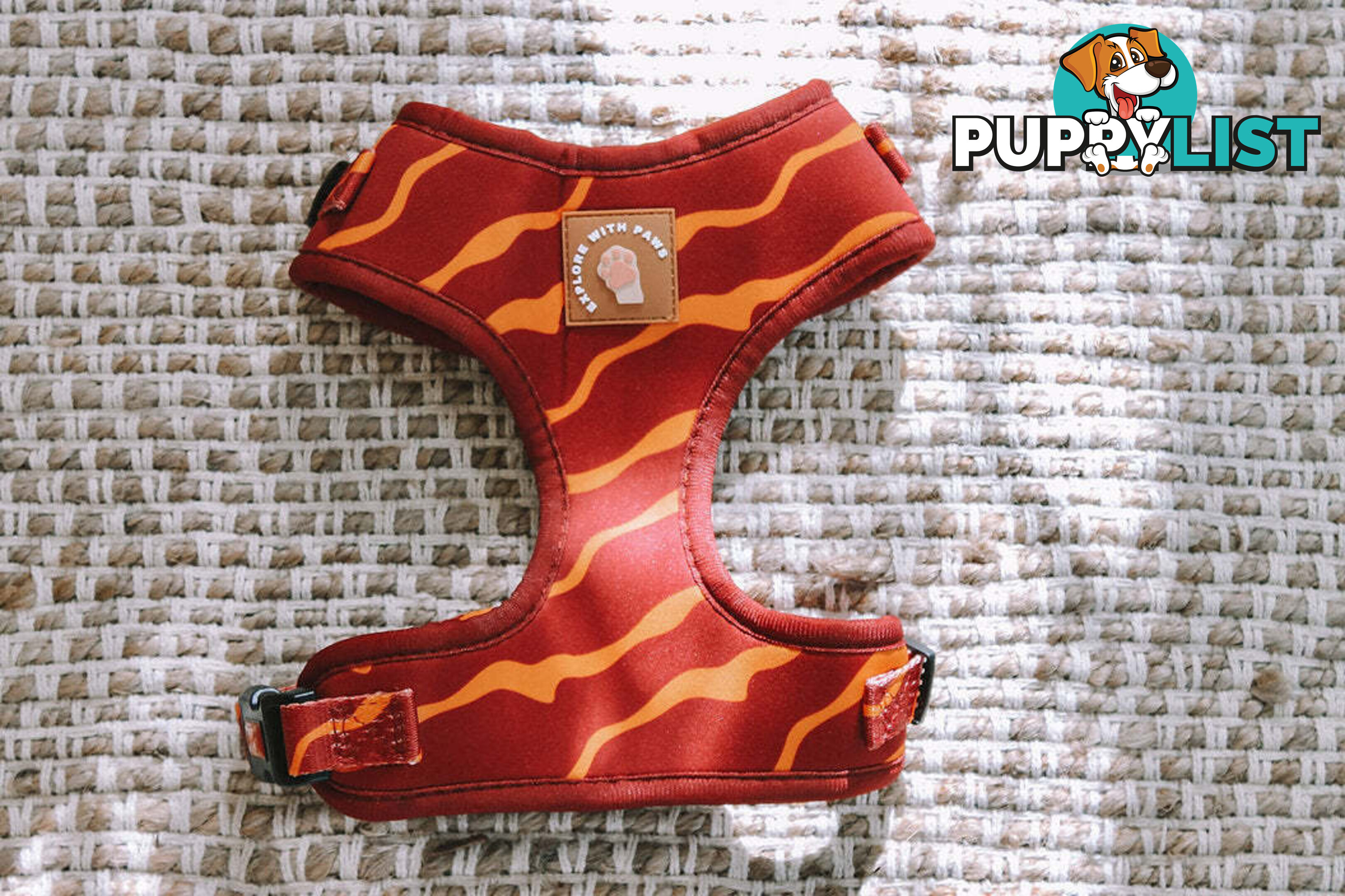 Designer Dog Harness by Explore with Paws - EWPHARCROLN