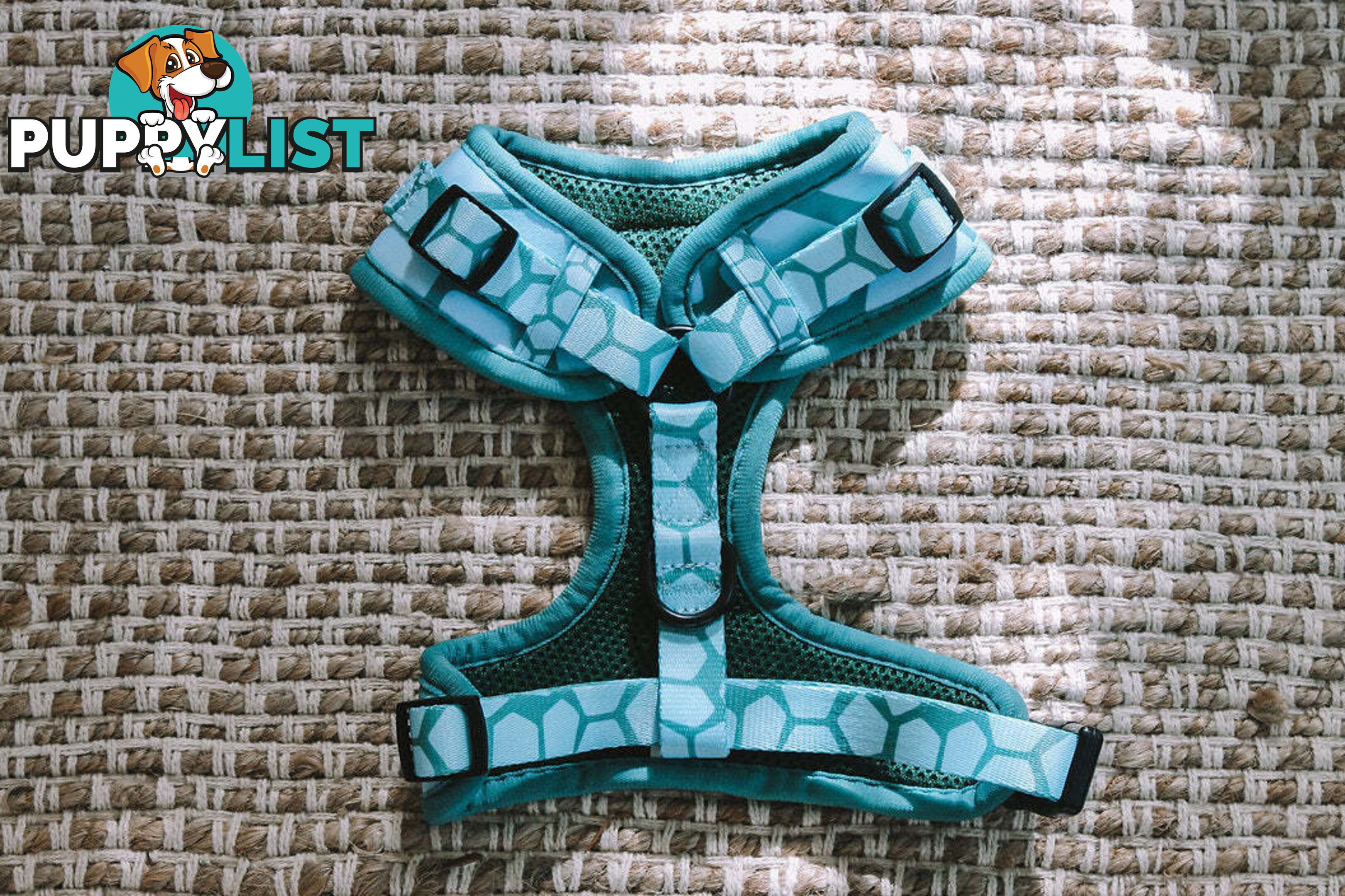 Designer Dog Harness by Explore with Paws - EWPHARCROLN