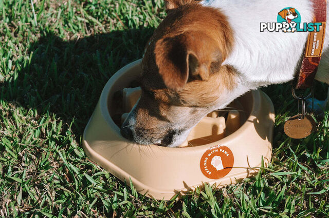 Slow Feeder Bowl - Explore with Paws - EWPSLOBOWBLU