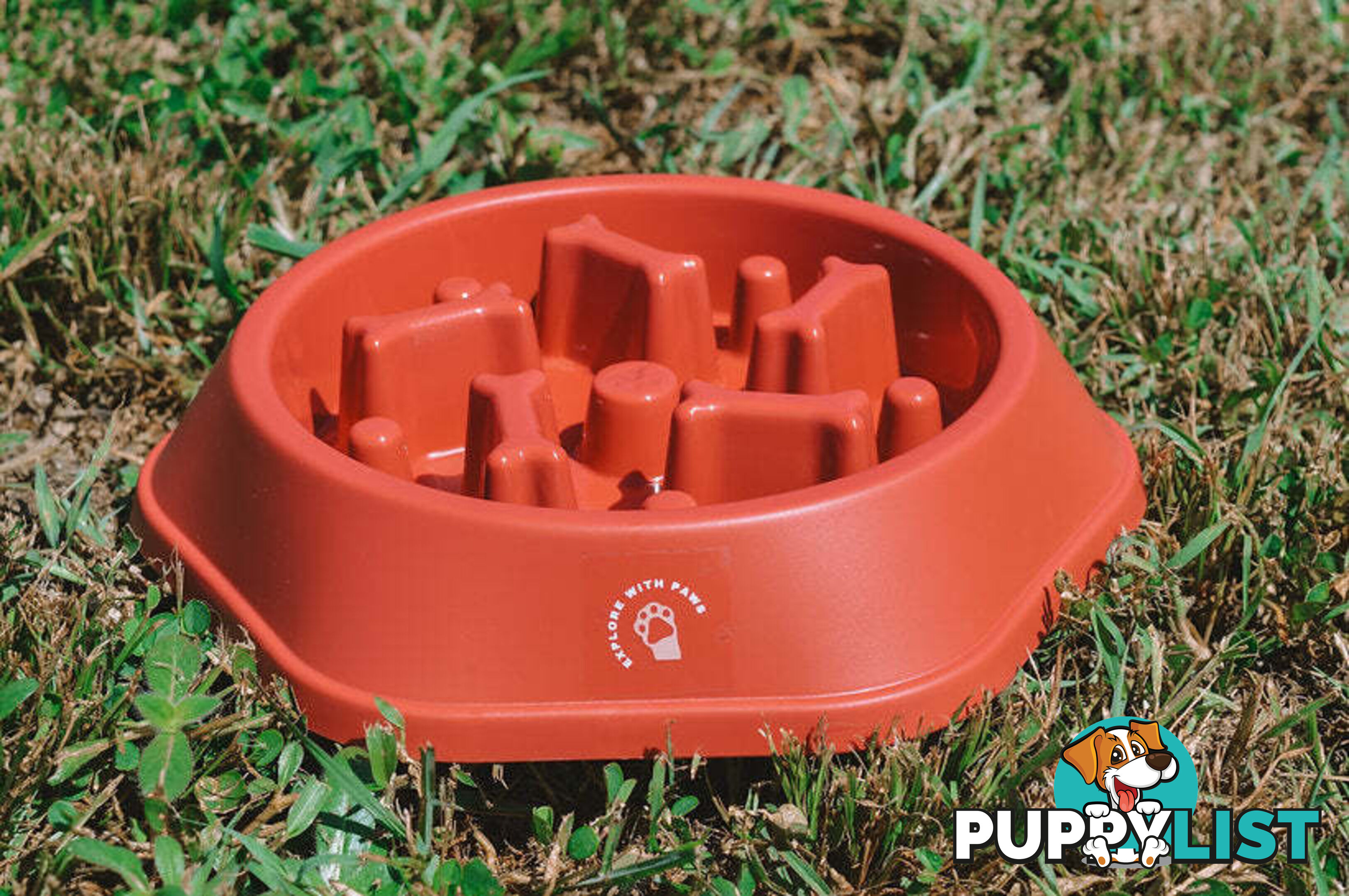 Slow Feeder Bowl - Explore with Paws - EWPSLOBOWBLU