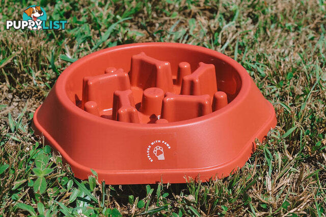 Slow Feeder Bowl - Explore with Paws - EWPSLOBOWBLU