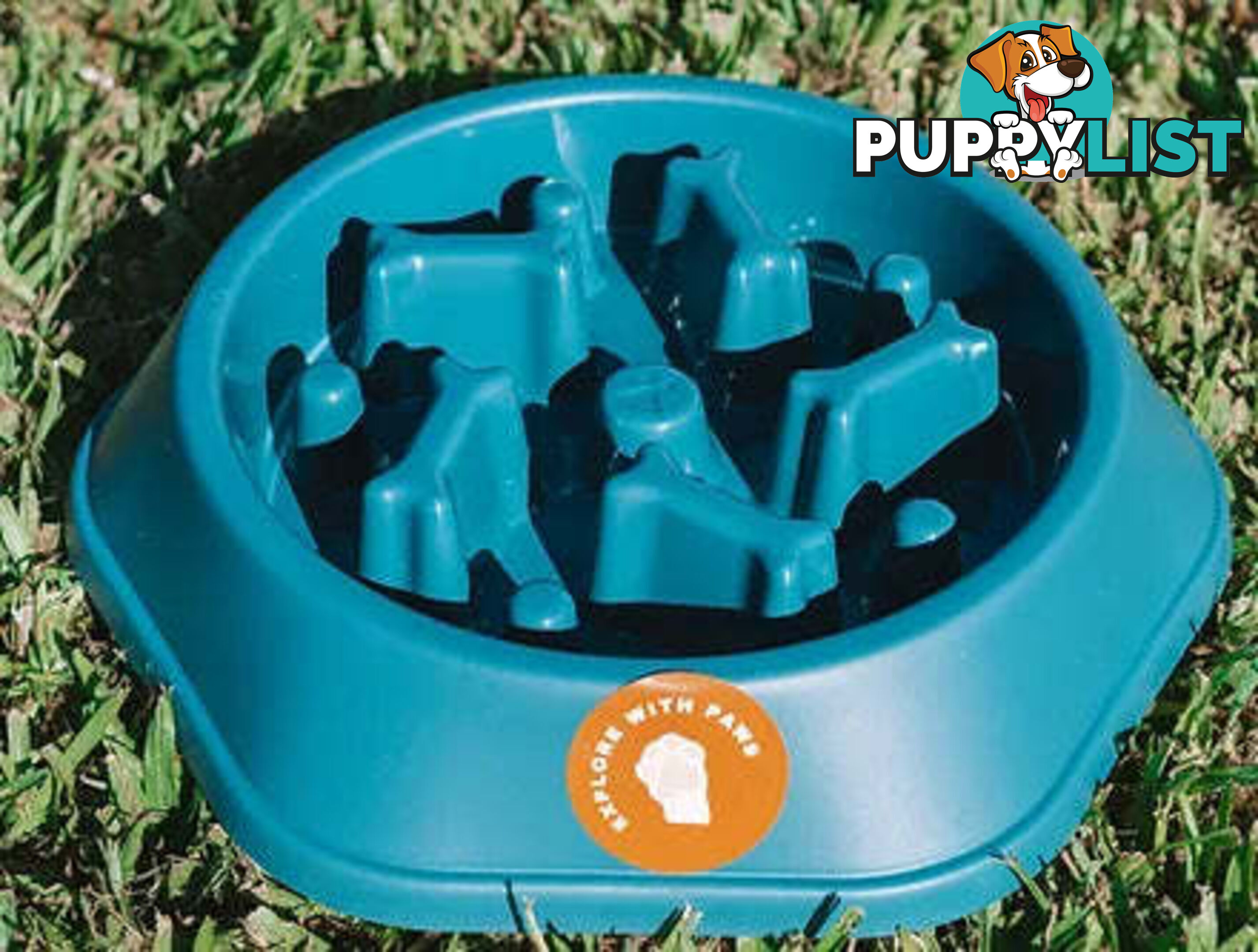Slow Feeder Bowl - Explore with Paws - EWPSLOBOWBLU