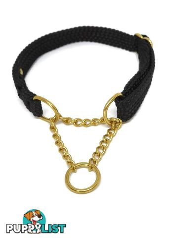 Martingale Dog Collars No Stitching Tough Yarnix - YNXCOLMARXXL20HBLU