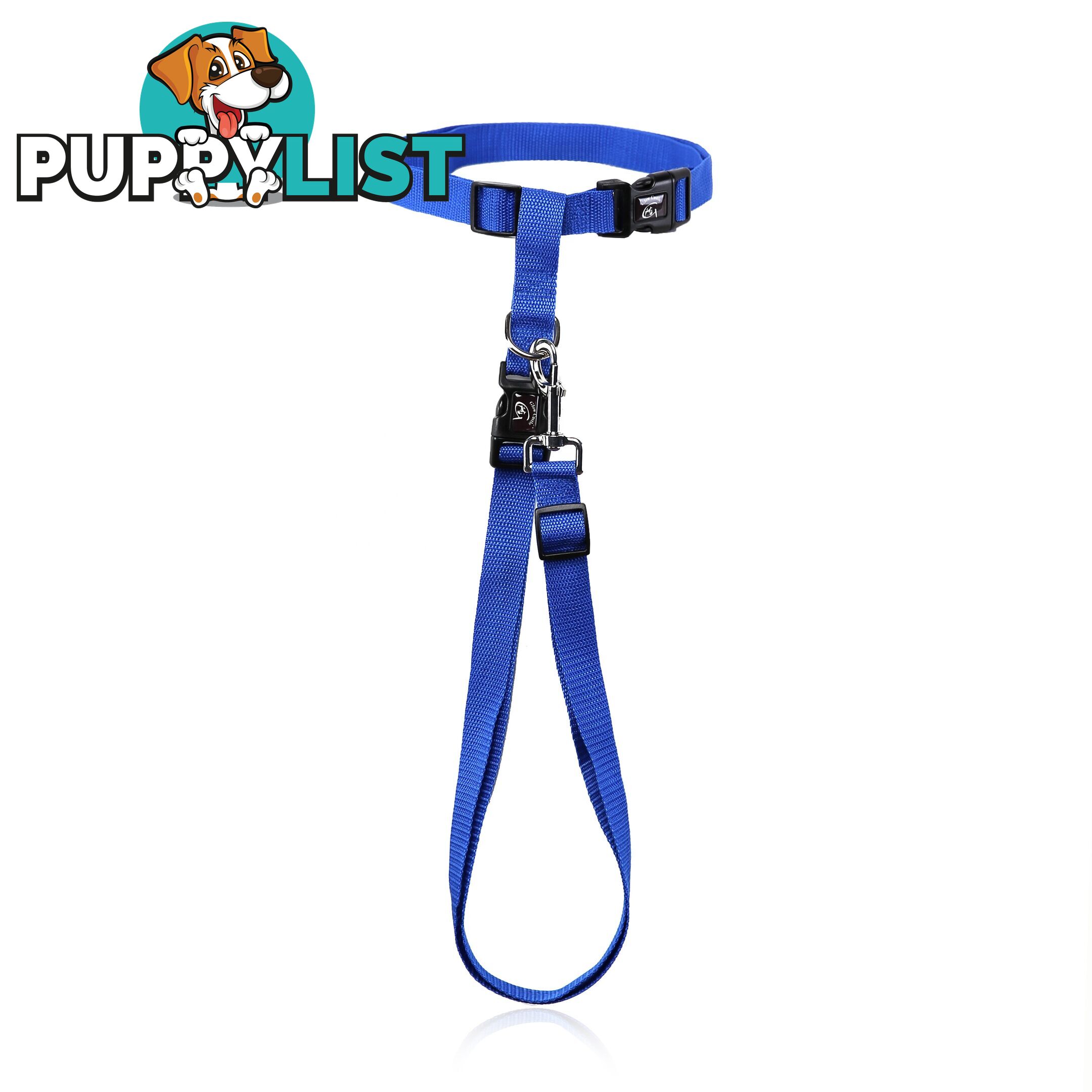 Hands Free Runner/Walker Waist Dog Leash Reflective- Moondidley Pets - MDPLDRUNBLU