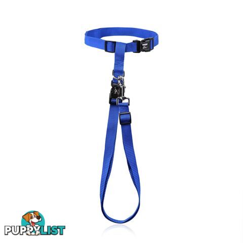 Hands Free Runner/Walker Waist Dog Leash Reflective- Moondidley Pets - MDPLDRUNBLU