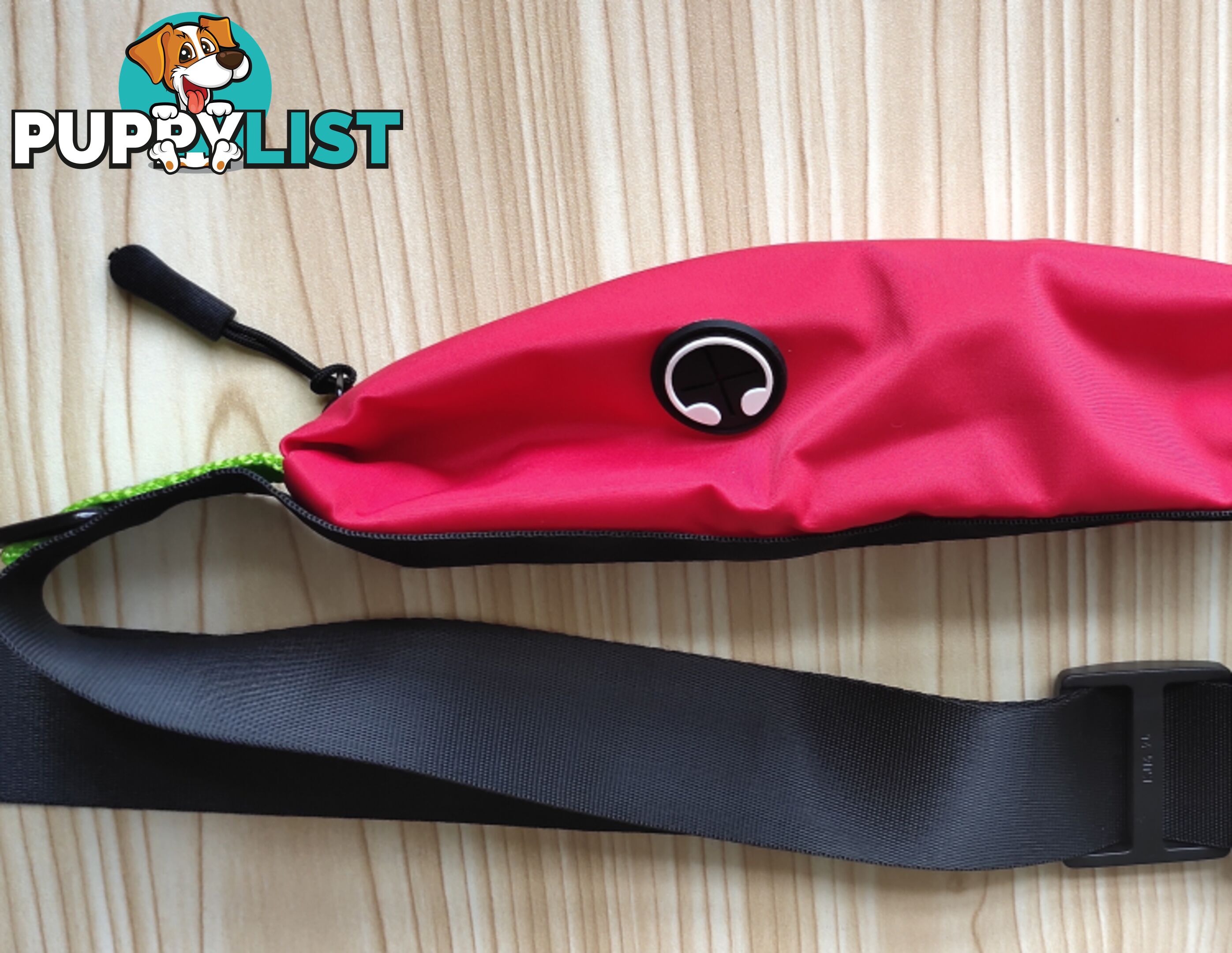 Hands Free Runner/Walker Waist Dog Leash Reflective- Moondidley Pets - MDPLDRUNBLU