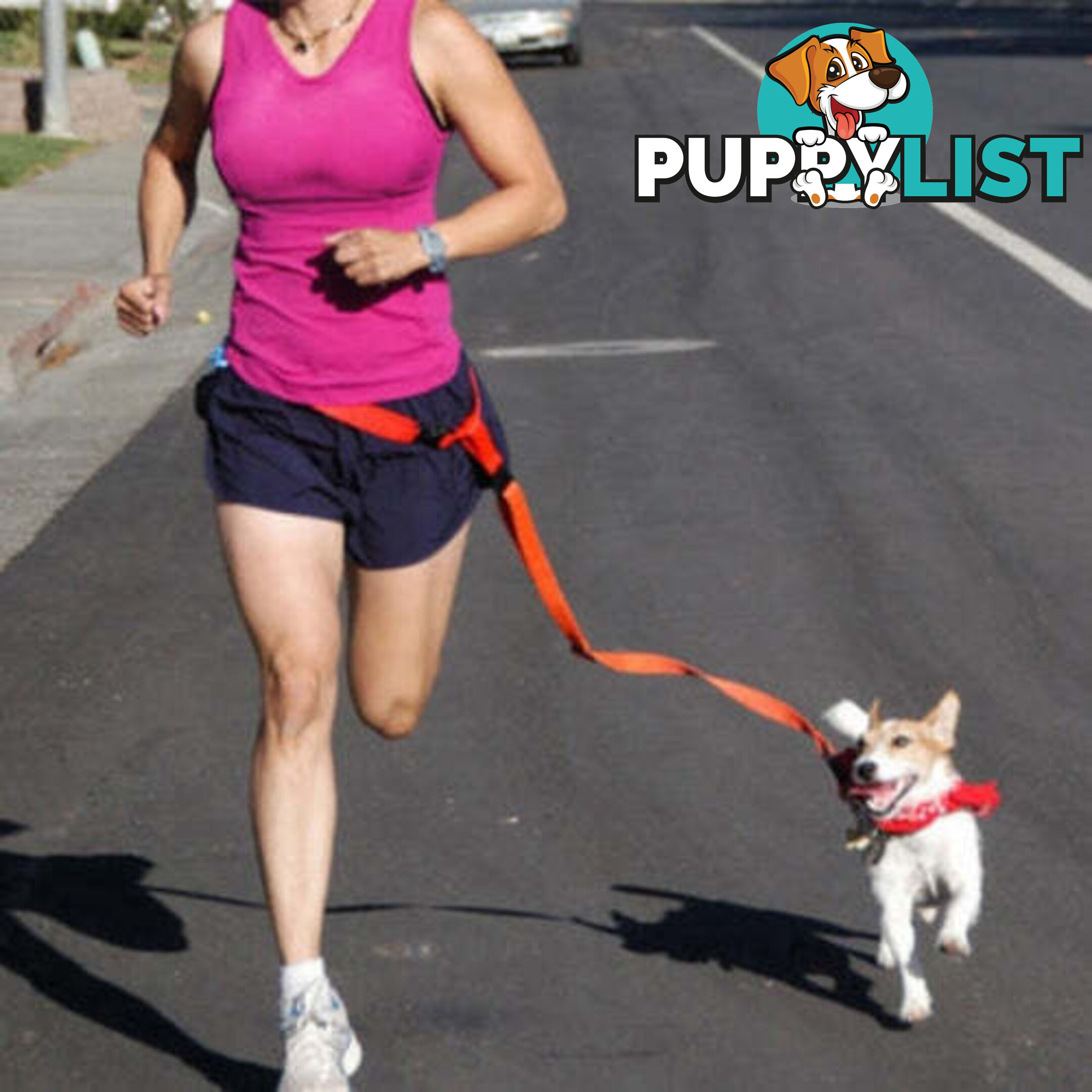 Hands Free Runner/Walker Waist Dog Leash Reflective- Moondidley Pets - MDPLDRUNBLU