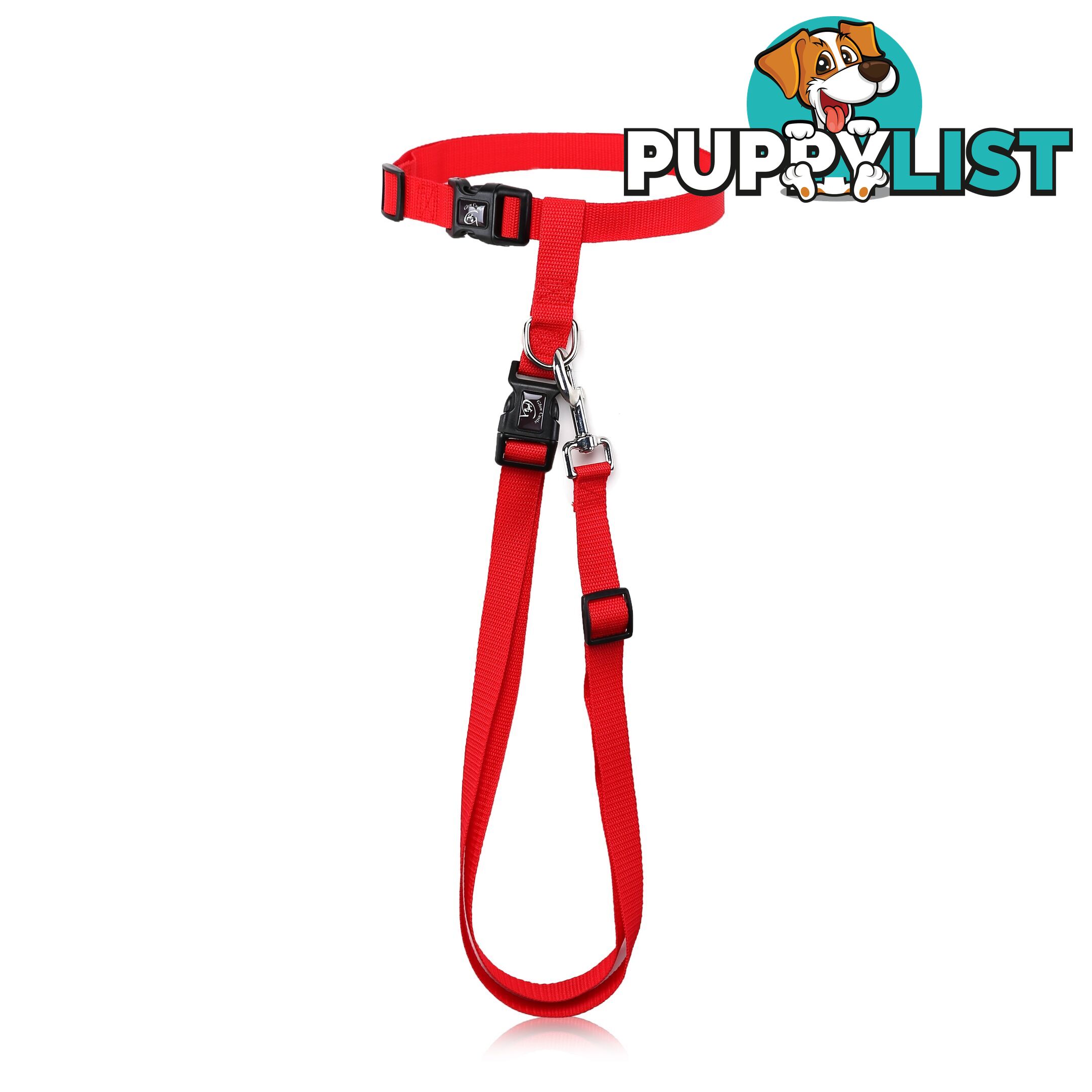 Hands Free Runner/Walker Waist Dog Leash Reflective- Moondidley Pets - MDPLDRUNBLU