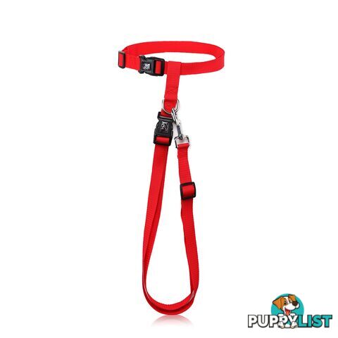 Hands Free Runner/Walker Waist Dog Leash Reflective- Moondidley Pets - MDPLDRUNBLU