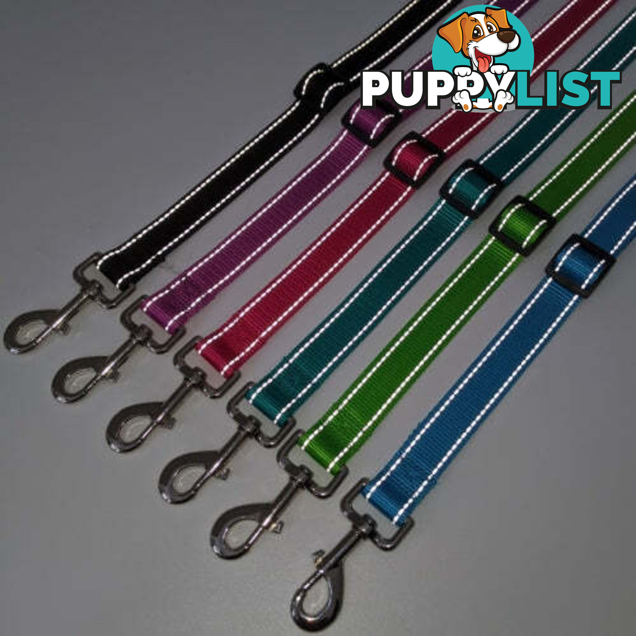Hands Free Runner/Walker Waist Dog Leash Reflective- Moondidley Pets - MDPLDRUNBLU