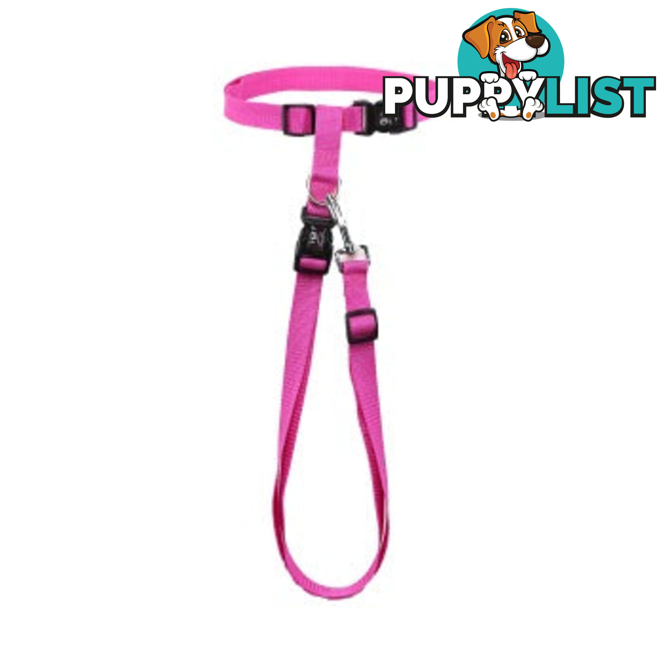 Hands Free Runner/Walker Waist Dog Leash Reflective- Moondidley Pets - MDPLDRUNBLU