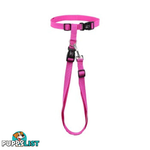 Hands Free Runner/Walker Waist Dog Leash Reflective- Moondidley Pets - MDPLDRUNBLU