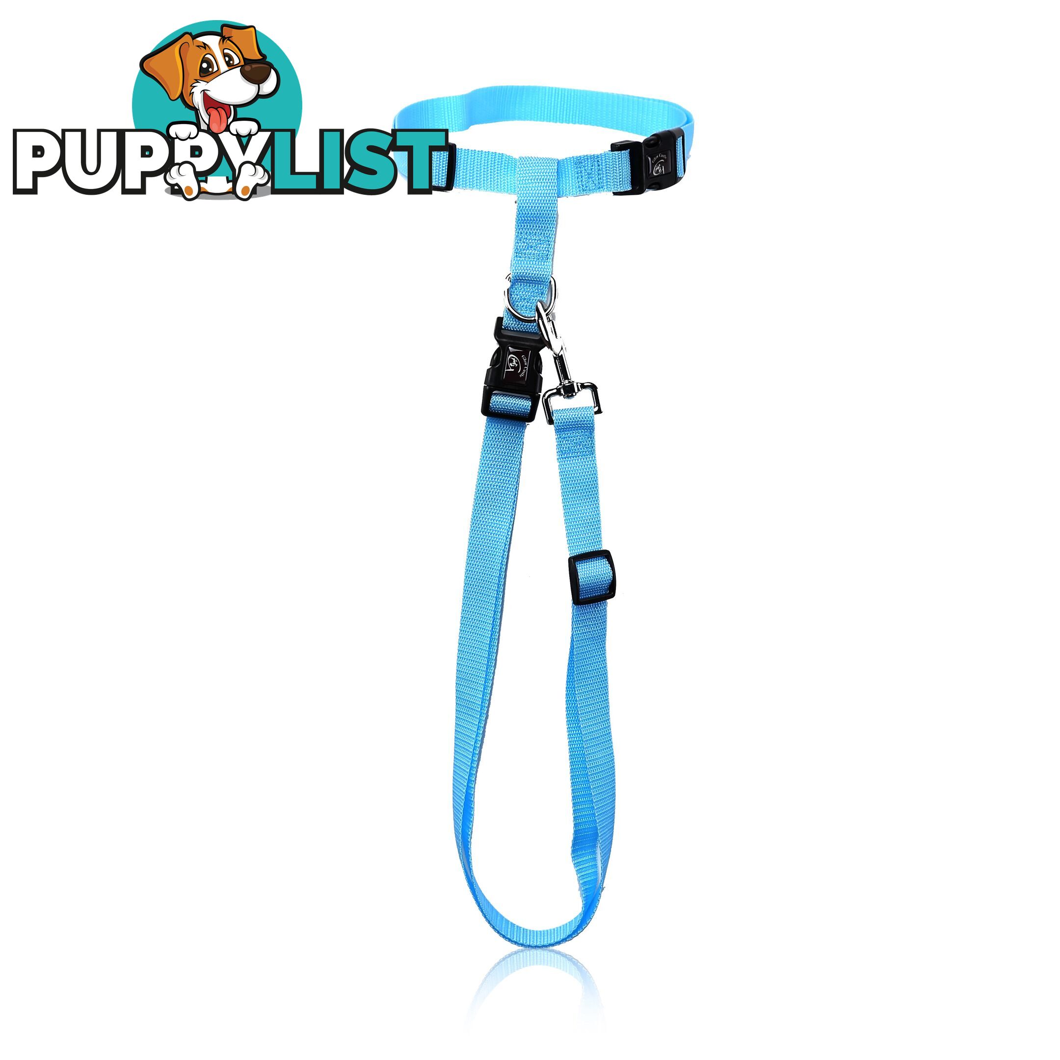 Hands Free Runner/Walker Waist Dog Leash Reflective- Moondidley Pets - MDPLDRUNBLU