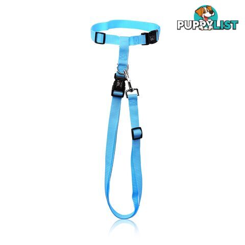 Hands Free Runner/Walker Waist Dog Leash Reflective- Moondidley Pets - MDPLDRUNBLU