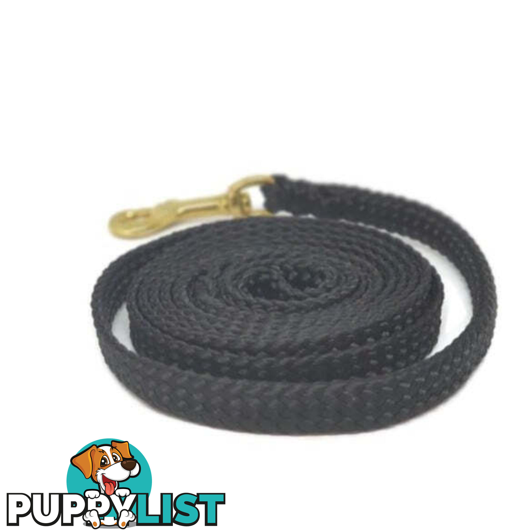 1.8m to 10m Long Dog Lead No Stitching Tough Yarnix 10mm Wide - YNXLD10-1.8-RD-BR