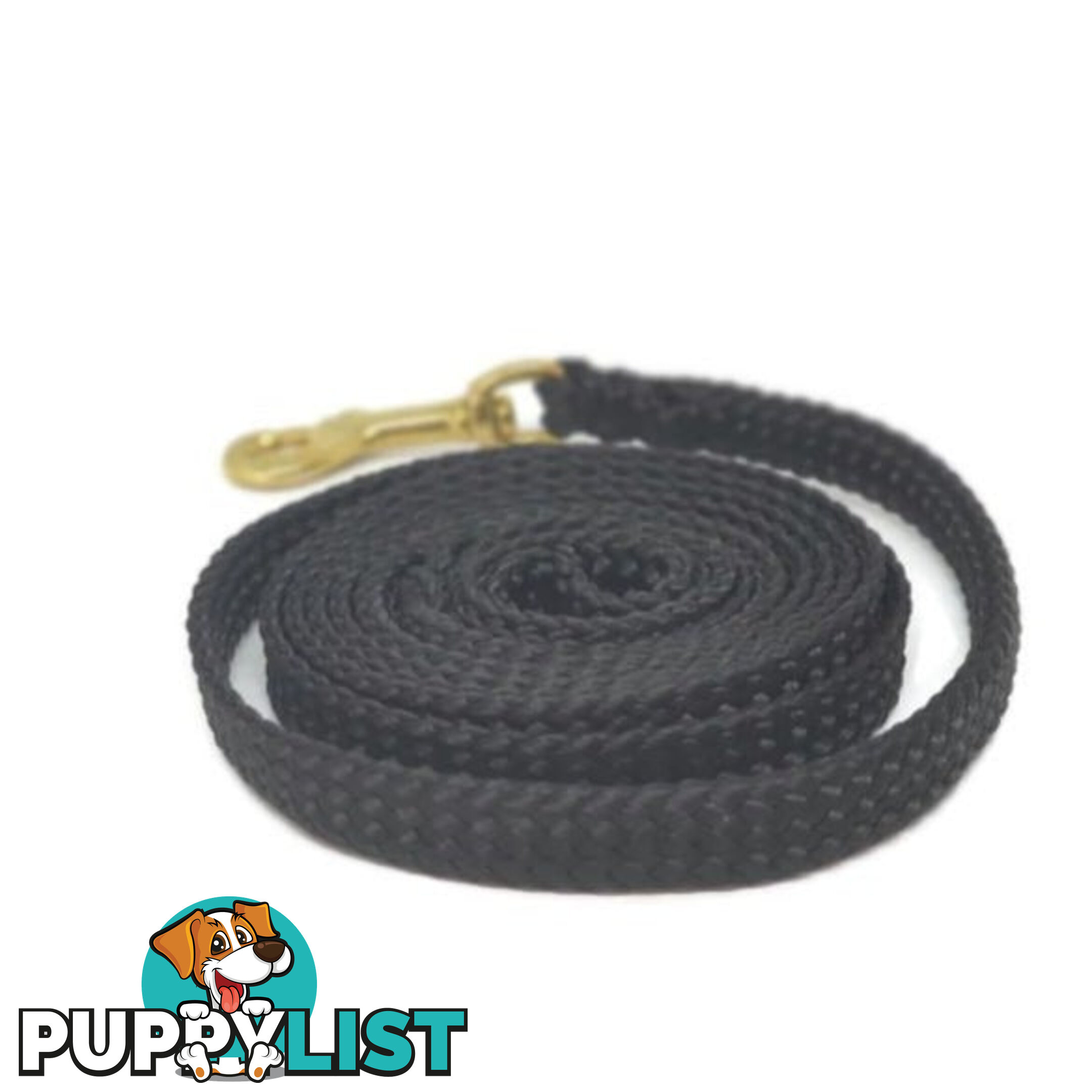 1.8m to 10m Long Dog Lead No Stitching Tough Yarnix 10mm Wide - YNXLD10-1.8-RD-BR