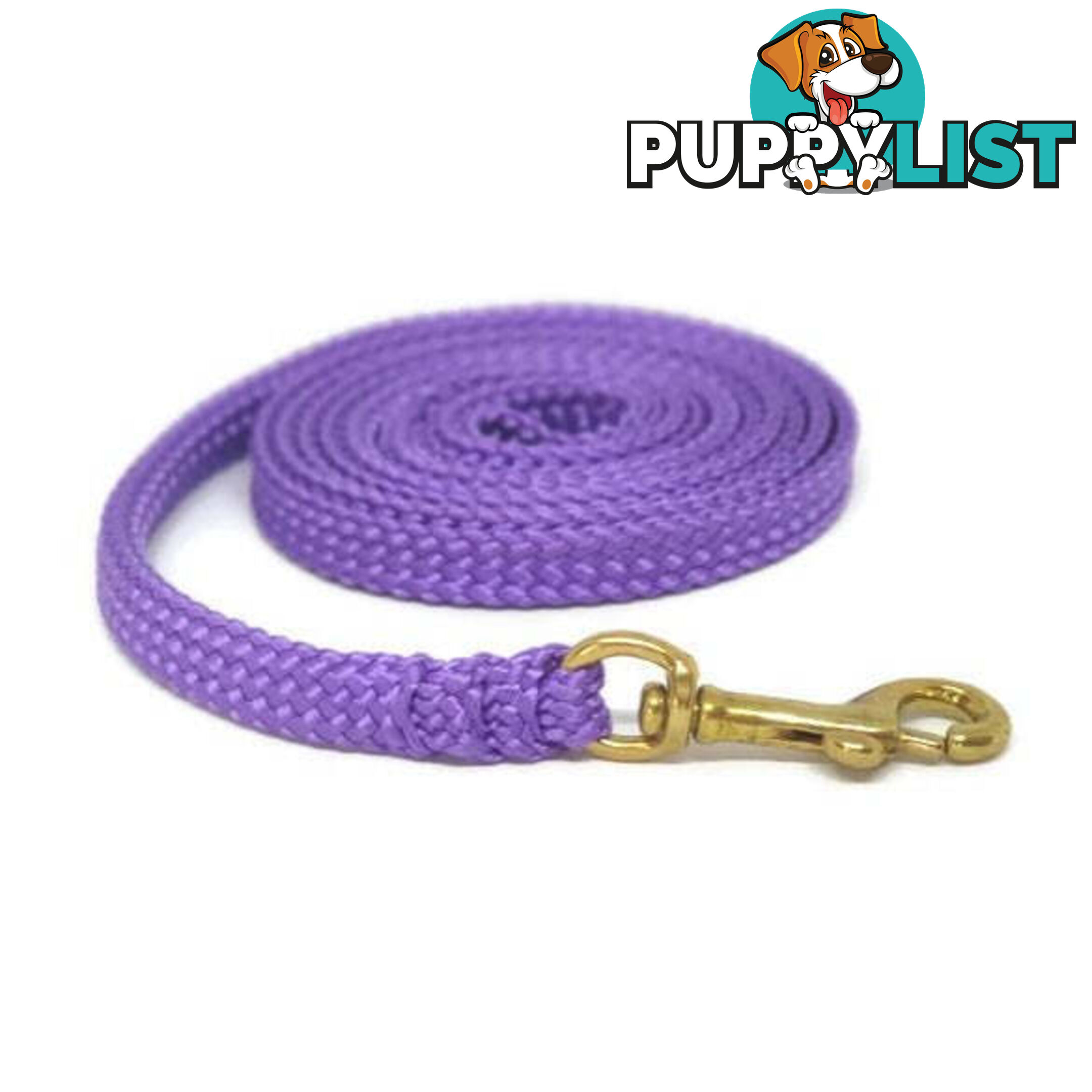1.8m to 10m Long Dog Lead No Stitching Tough Yarnix 10mm Wide - YNXLD10-1.8-RD-BR