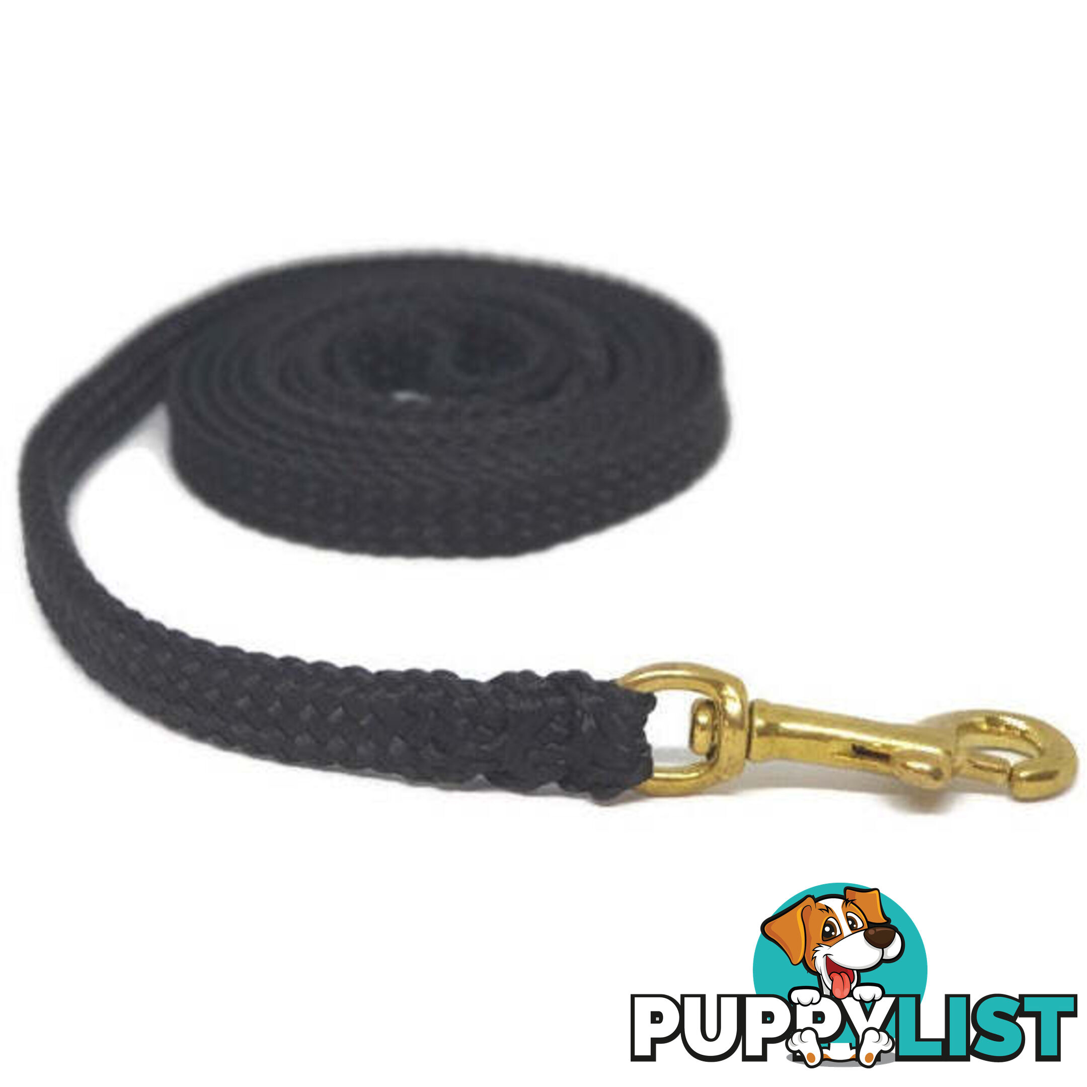 1.8m to 10m Long Dog Lead No Stitching Tough Yarnix 10mm Wide - YNXLD10-1.8-RD-BR