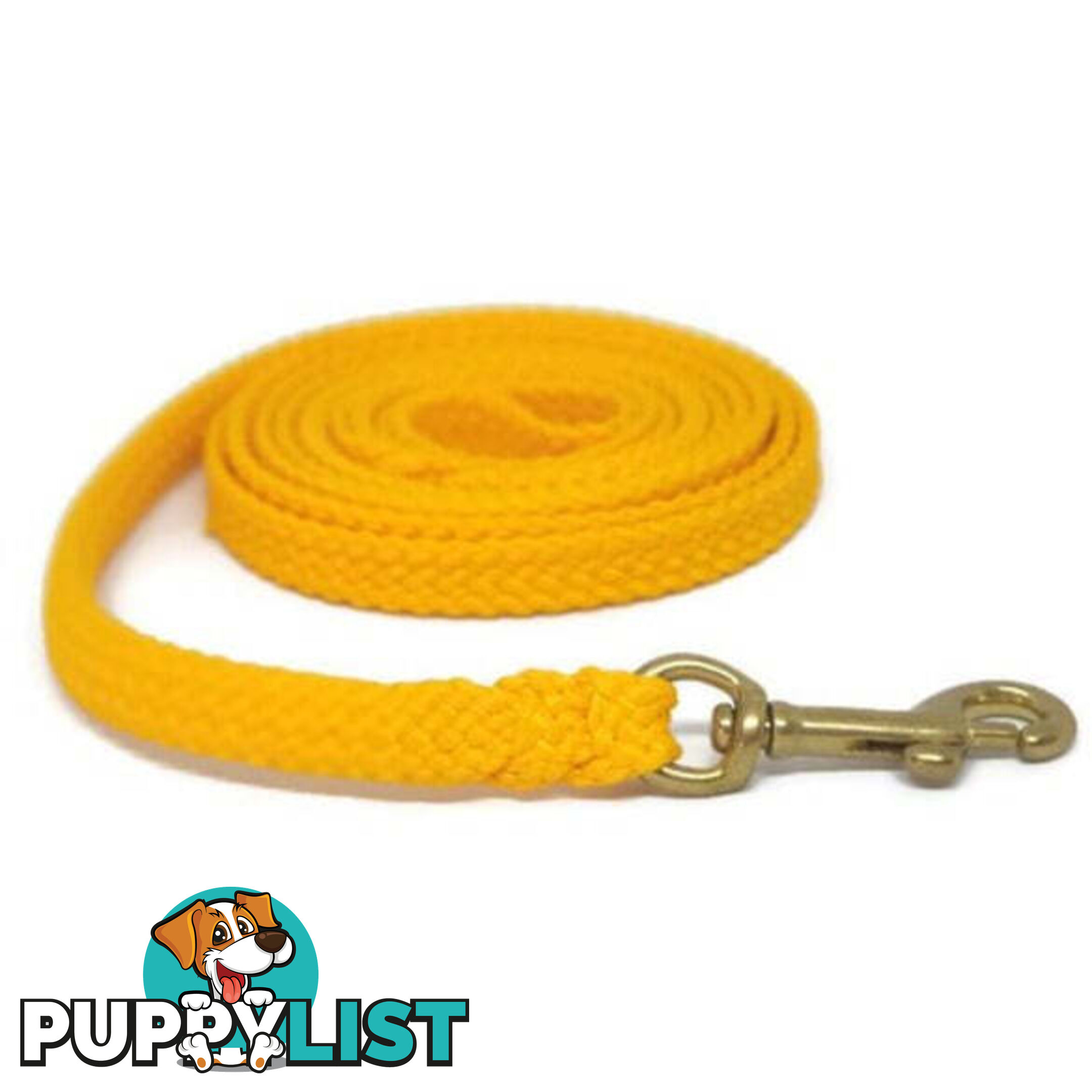 1.8m to 10m Long Dog Lead No Stitching Tough Yarnix 10mm Wide - YNXLD10-1.8-RD-BR