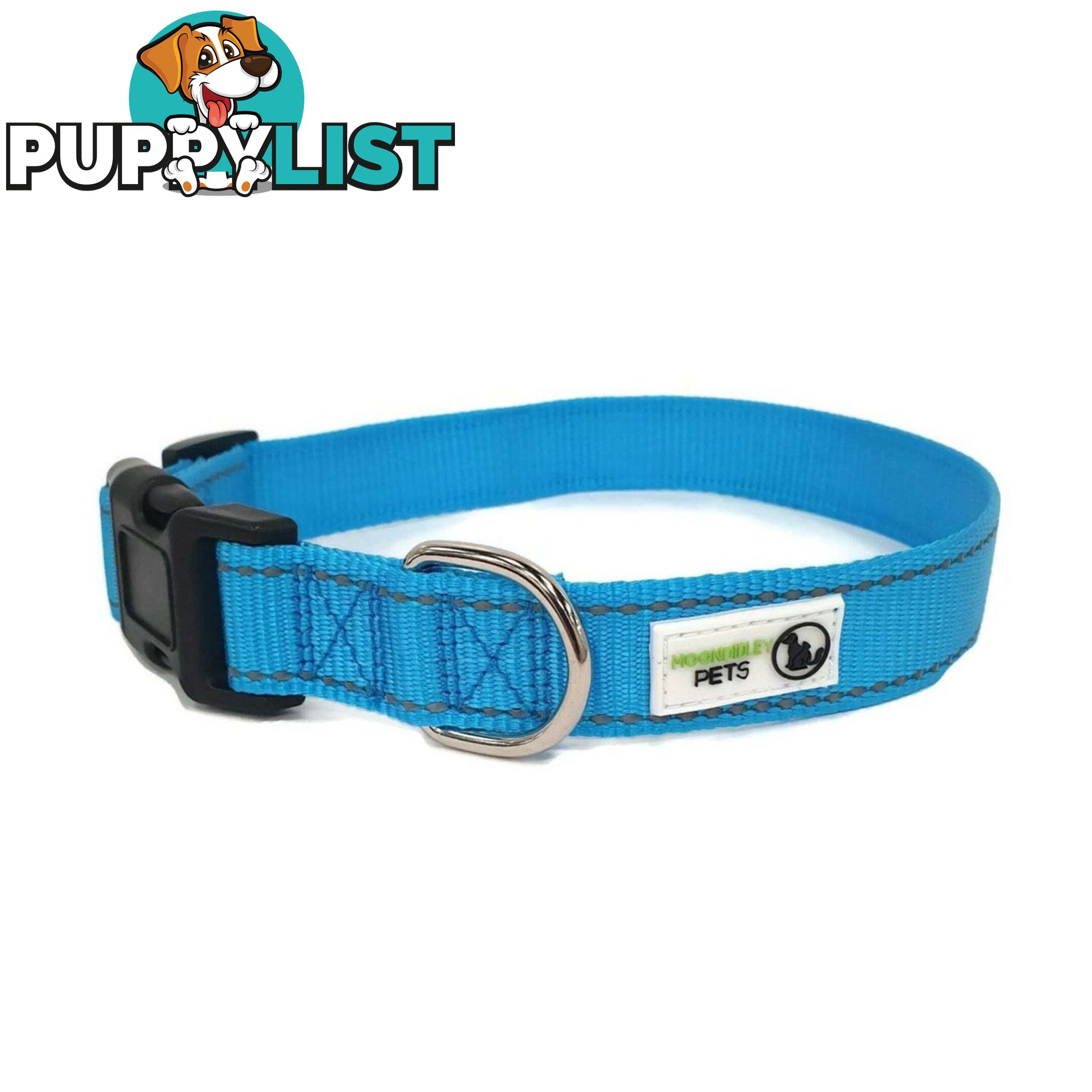 Nylon w/Reflective Stitching Dog Collar - Moondidley Pets - MDPCOLREFSGRN