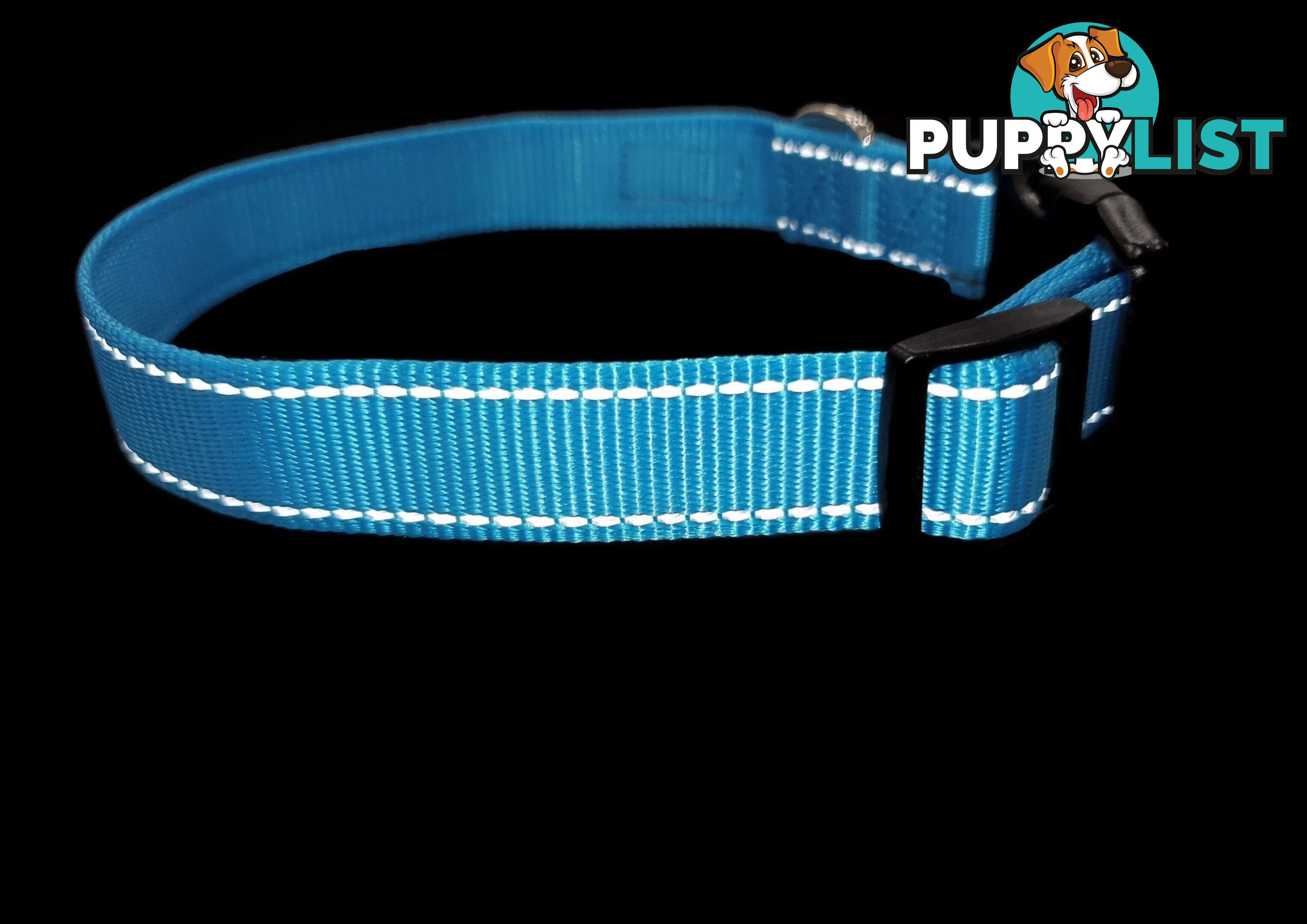Nylon w/Reflective Stitching Dog Collar - Moondidley Pets - MDPCOLREFSGRN