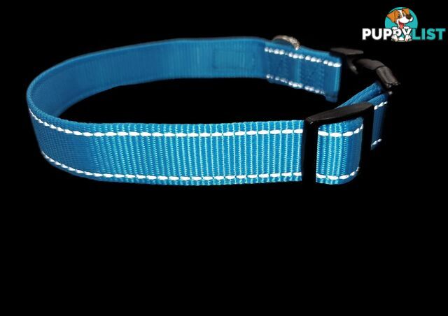 Nylon w/Reflective Stitching Dog Collar - Moondidley Pets - MDPCOLREFSGRN