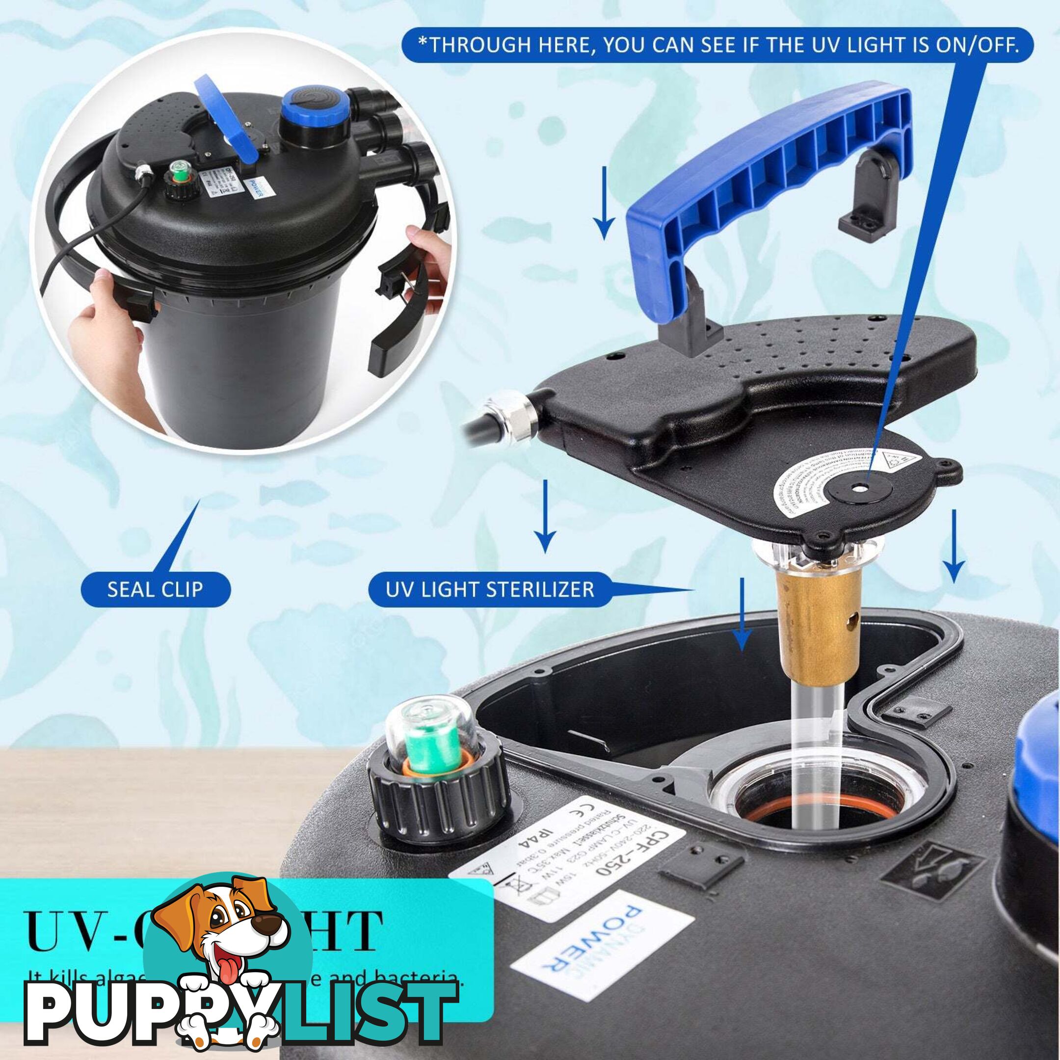 Thick Neoprene Dog Collar - Hand Made by The Bark Side - TBSNEOLGEGEOM