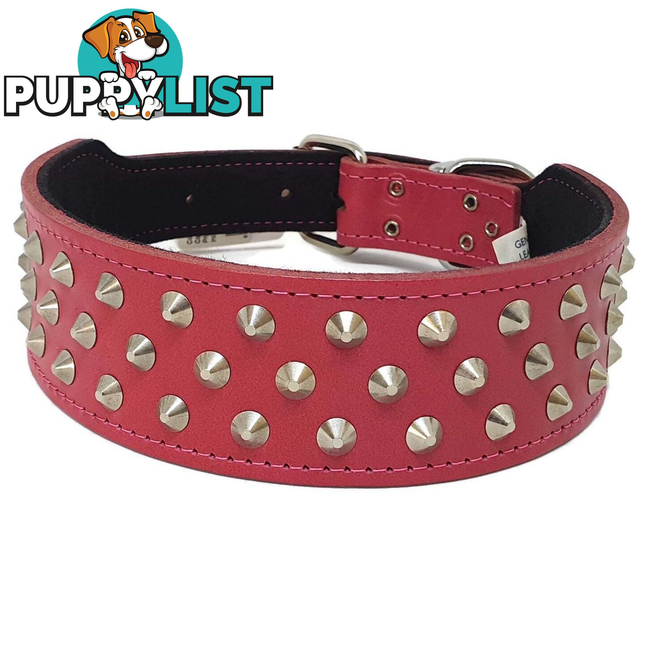 Staffy Leather Studded Dog Collar - Beau Pets - JPP-1043-BLK