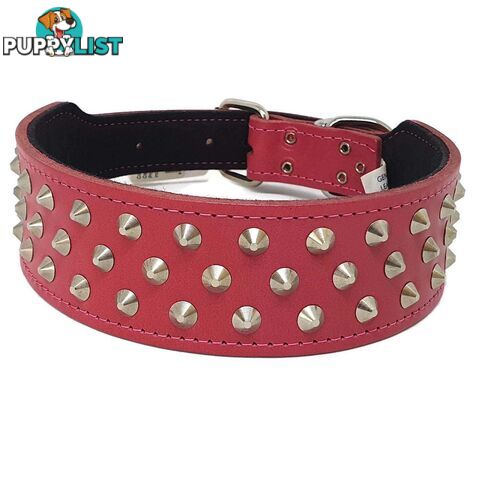 Staffy Leather Studded Dog Collar - Beau Pets - JPP-1043-BLK