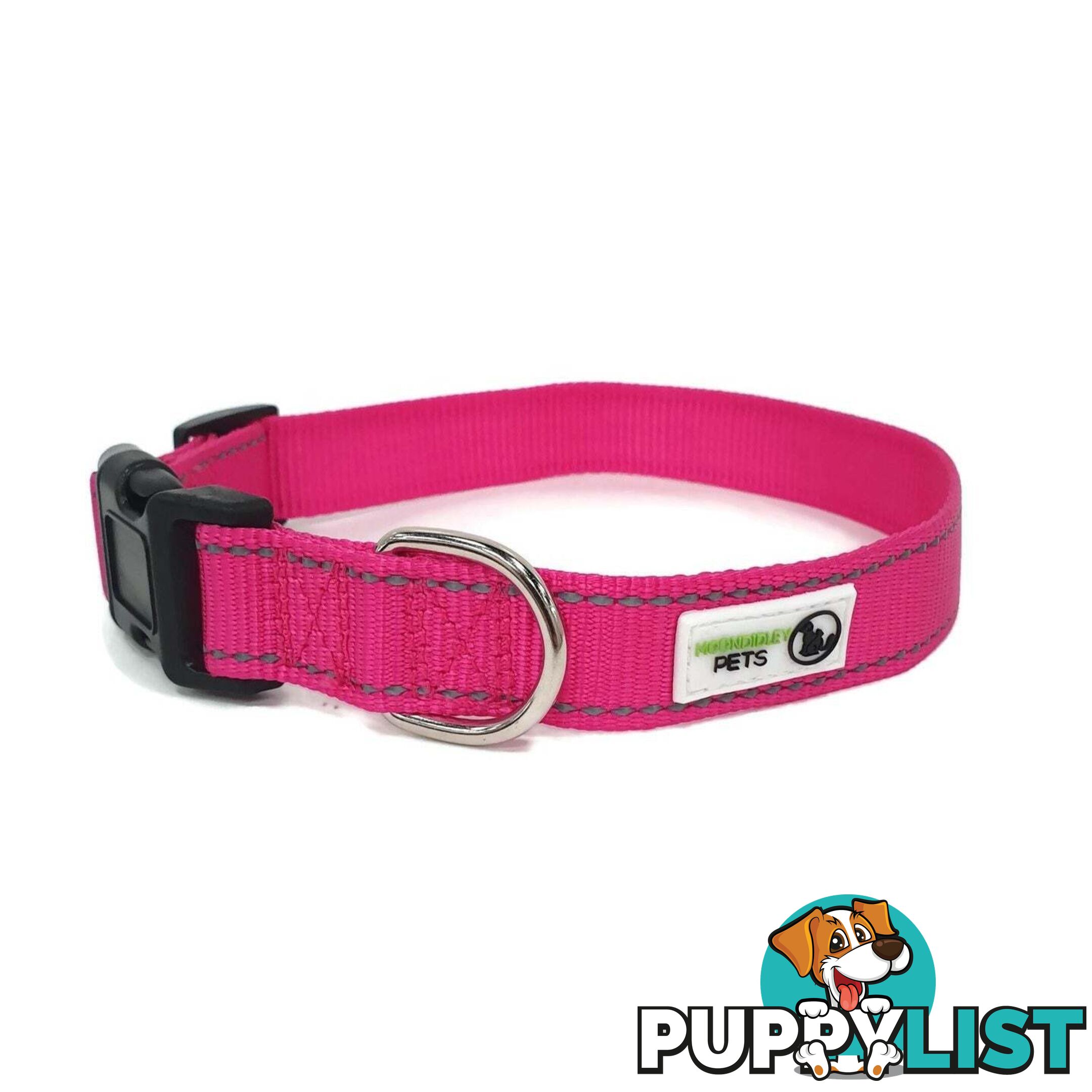 Nylon w/Reflective Stitching Dog Collar - Moondidley Pets - MDPCOLREFXSGRN