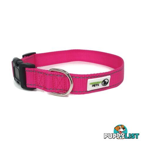 Nylon w/Reflective Stitching Dog Collar - Moondidley Pets - MDPCOLREFXSGRN