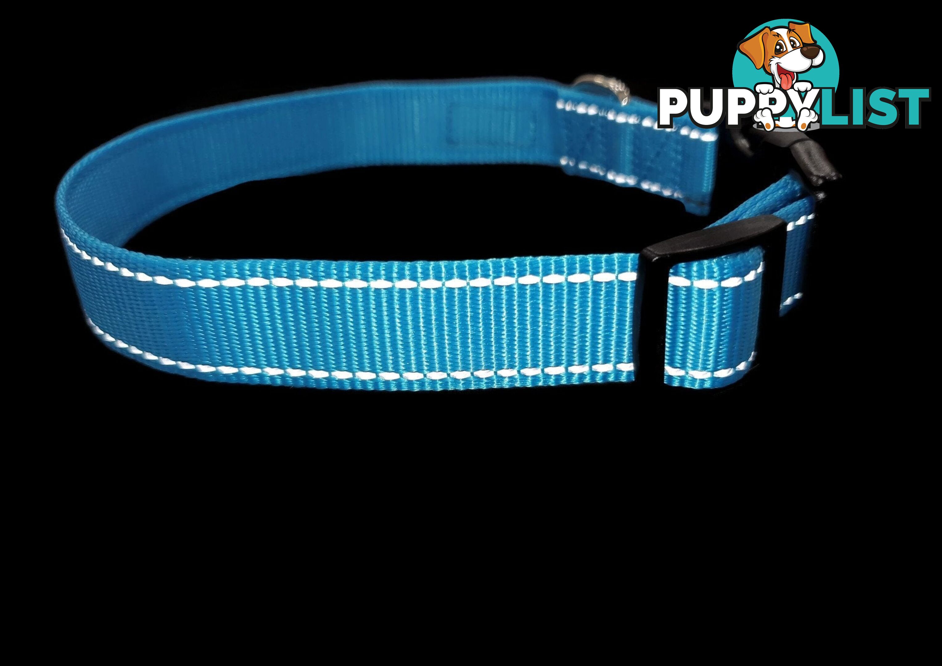 Nylon w/Reflective Stitching Dog Collar - Moondidley Pets - MDPCOLREFXSGRN