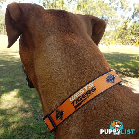 Dog Collars - NRL Footy Pets - FP-COL-S-RAI