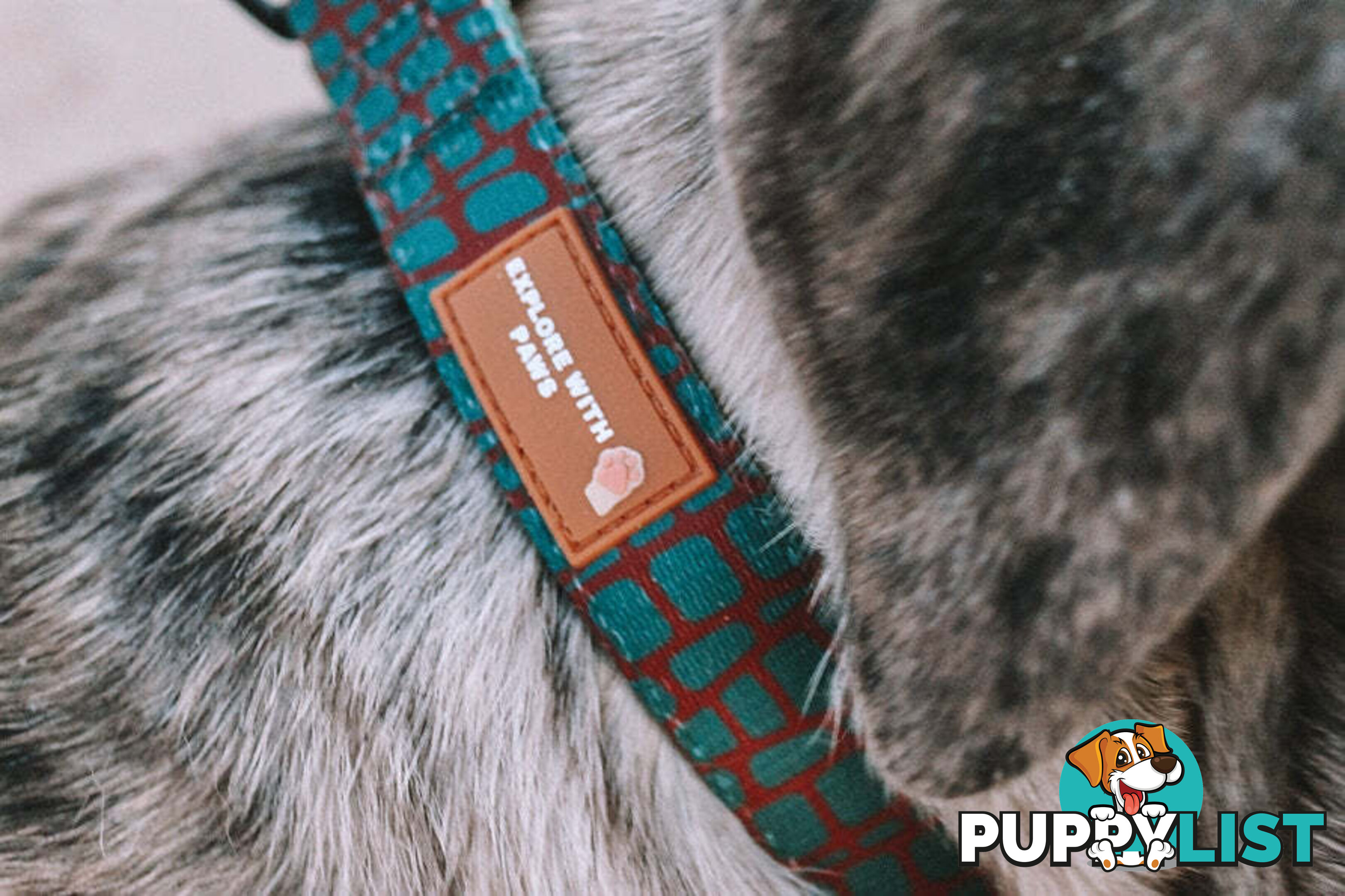 Designer Dog Collars by Explore with Paws - EWPCOLMCRON