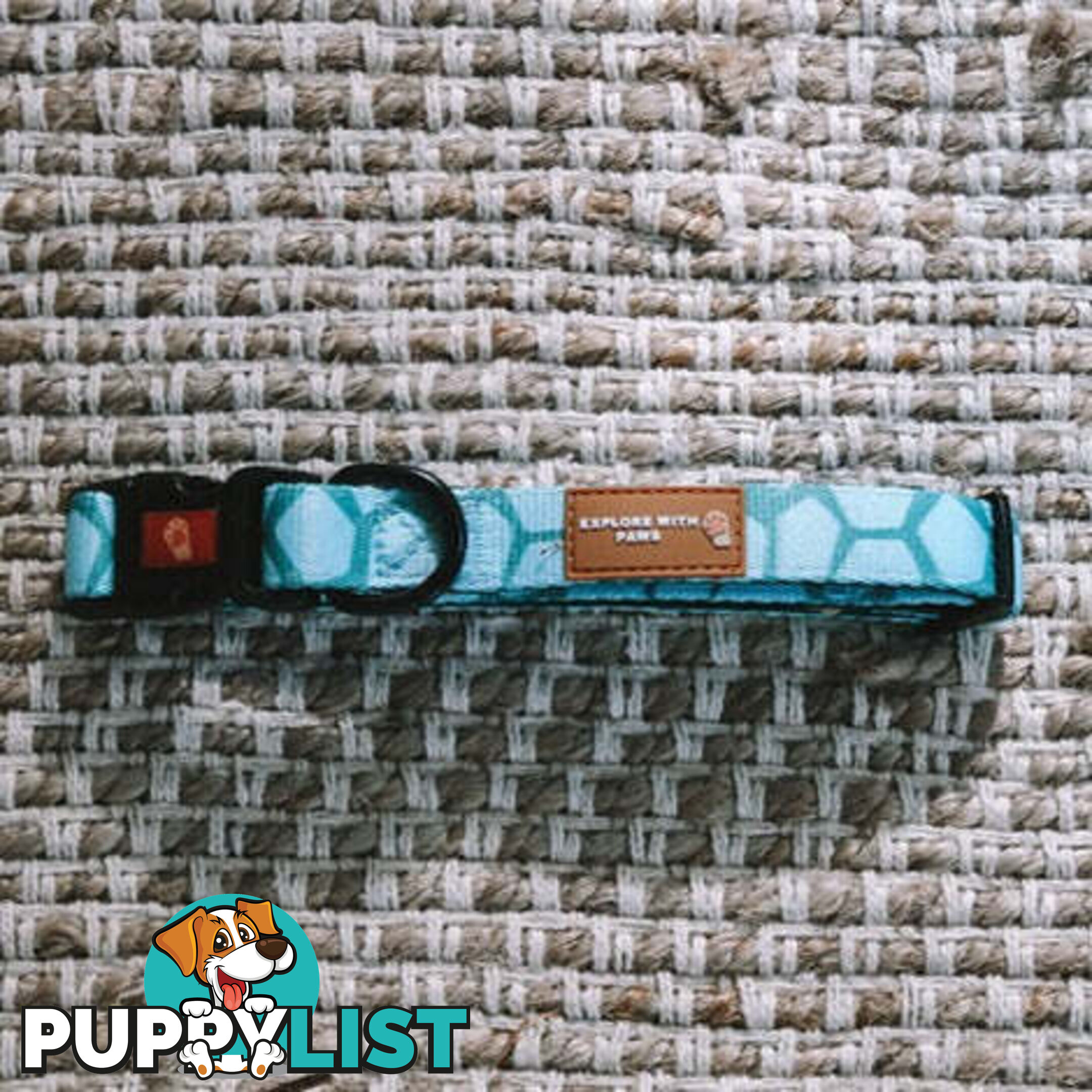 Designer Dog Collars by Explore with Paws - EWPCOLMCRON