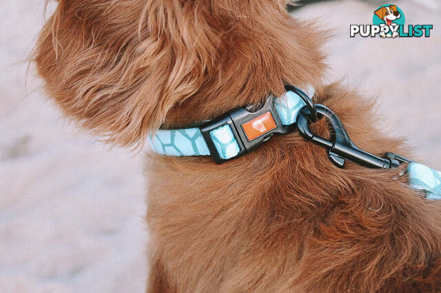 Designer Dog Collars by Explore with Paws - EWPCOLMCRON