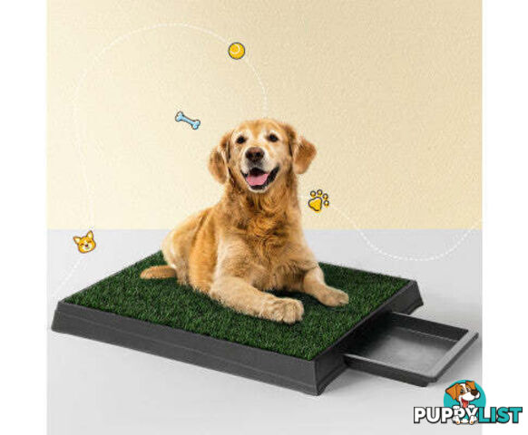 i.Pet Pet Training Pad With Tray Grass Mat - PET-PAD-GRASSX1