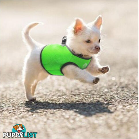 Vest Harness Pet Dog-Cat Step-in Velcro and Buckle Attachments - Moondidley Pets - MDPVESTXSBLK