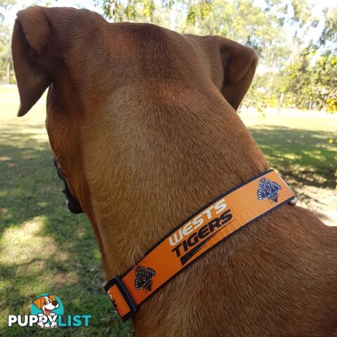 Dog Collars - NRL Footy Pets - FP-COL-M-KNI