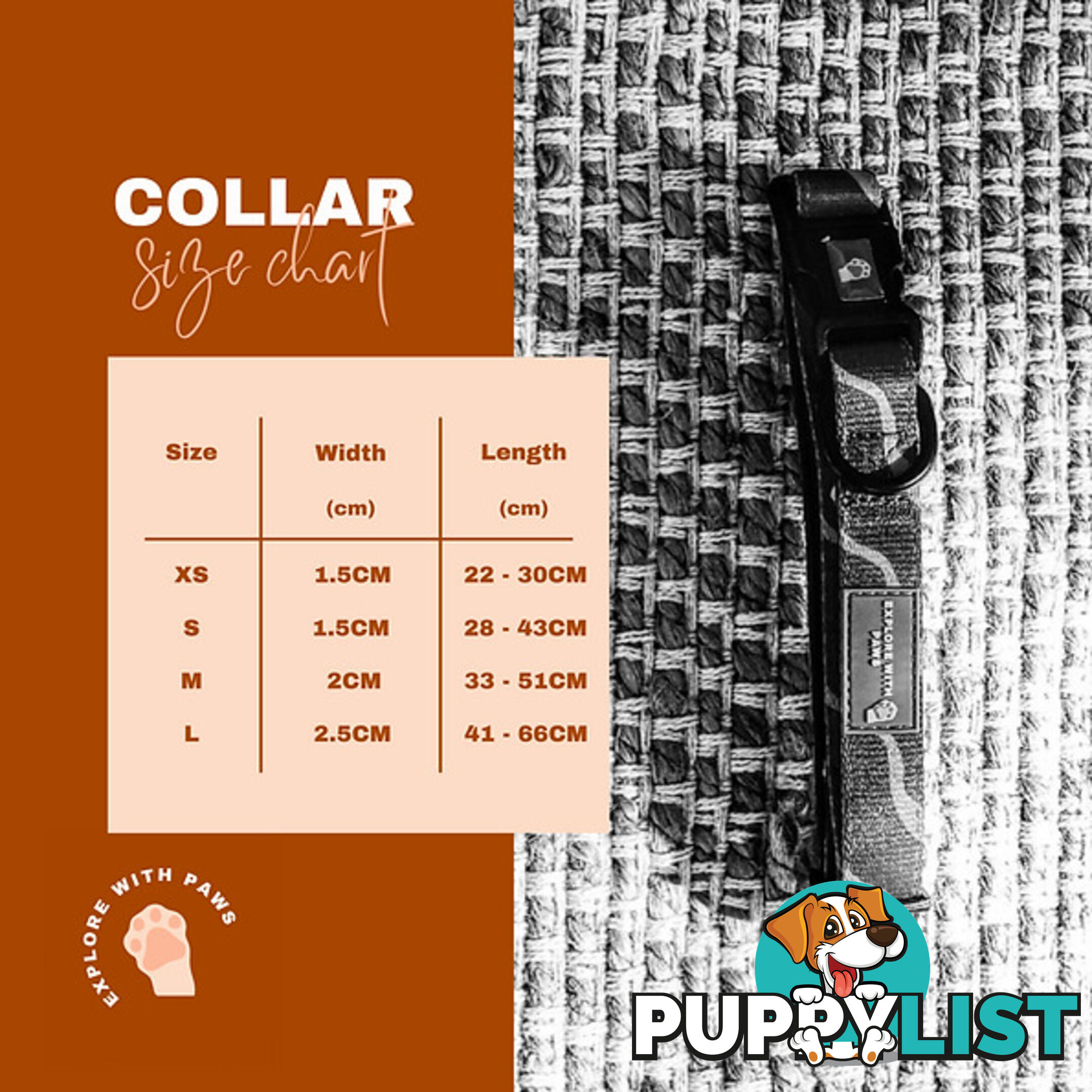 Designer Dog Collars by Explore with Paws - EWPCOLSCRON